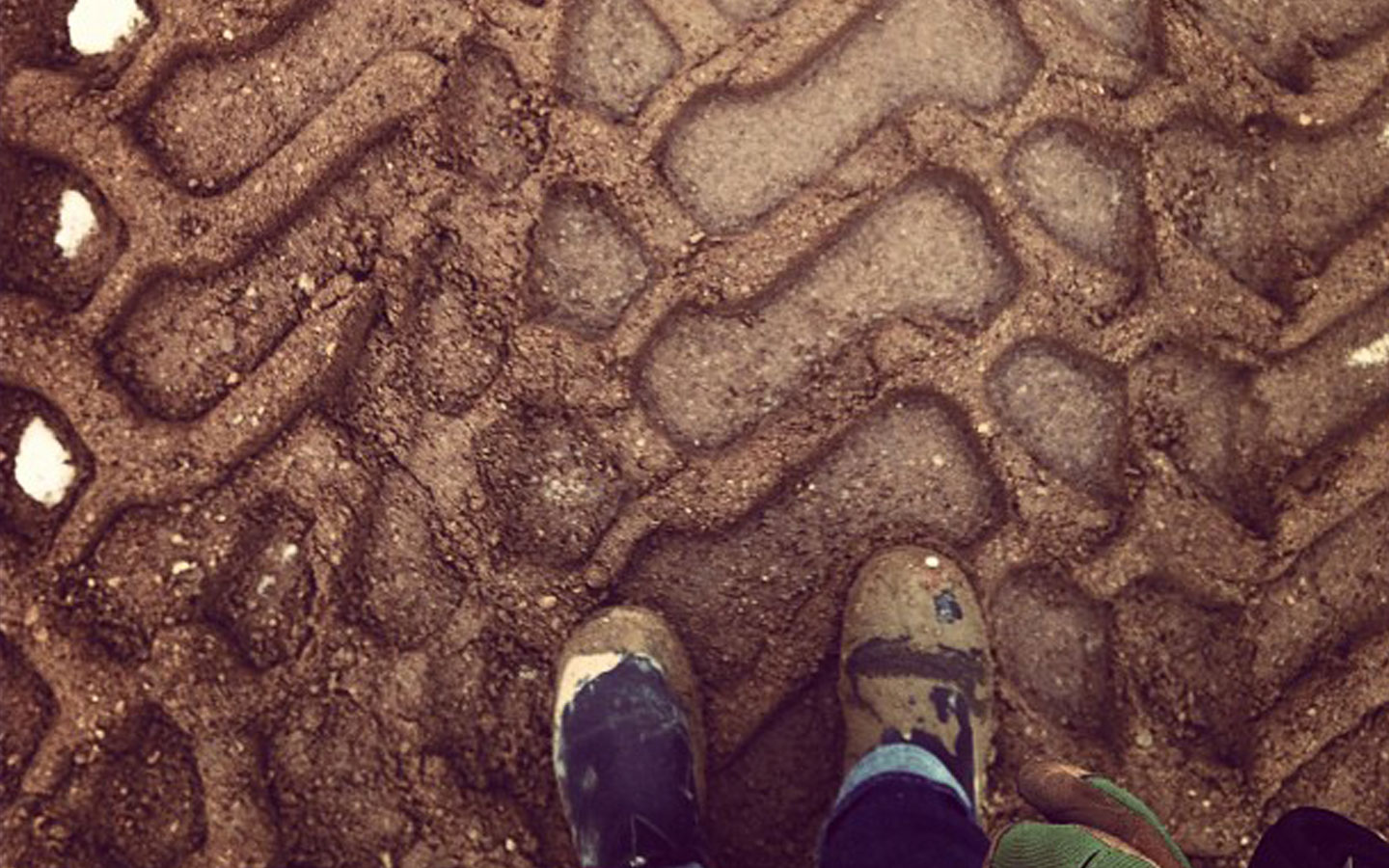 office of mcfarlane biggar architects + designers