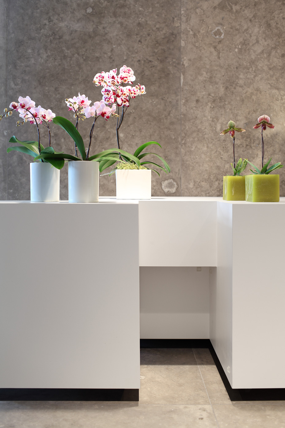 office of mcfarlane biggar architects + designers, Vancouver, British Columbia, Canada, Granville Island Florist