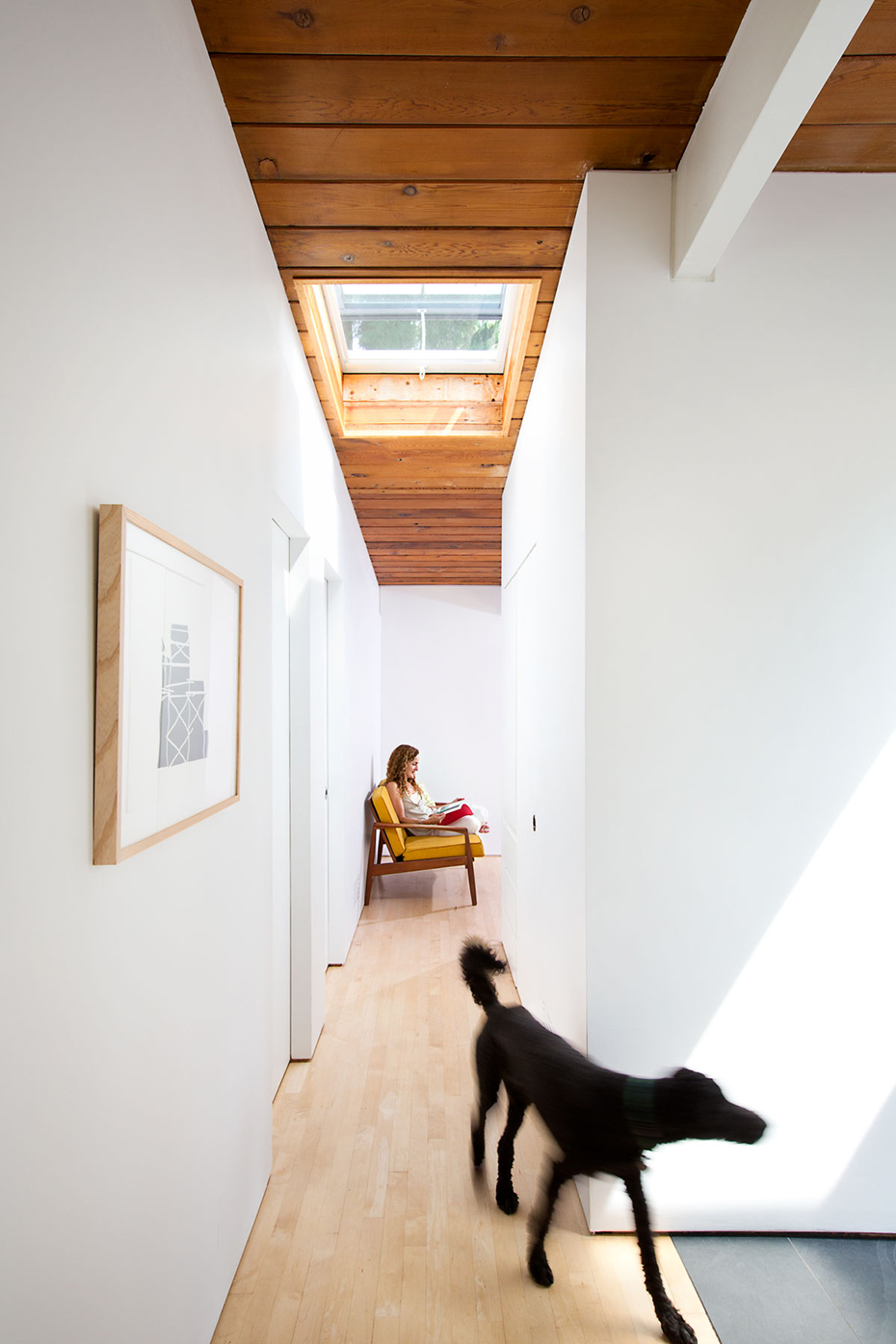 office of mcfarlane biggar architects + designers, North Vancouver, British Columbia, Canada, Canyon House